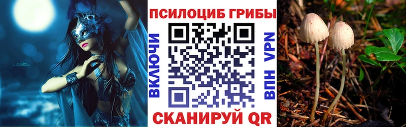 кракен онион  Коркино  Галлюциногенные грибы мицелий  купить наркотик 